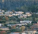 Houses built on a tree-covered hillside