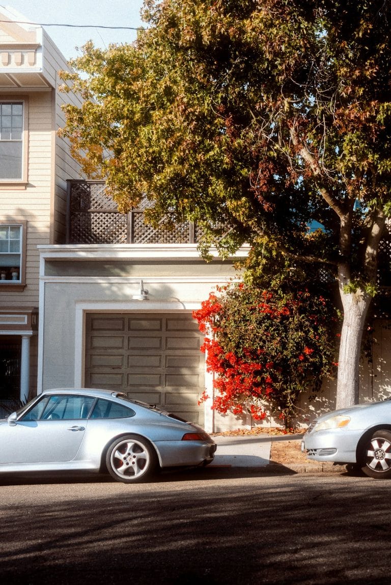 Tree next to a well-kept building
