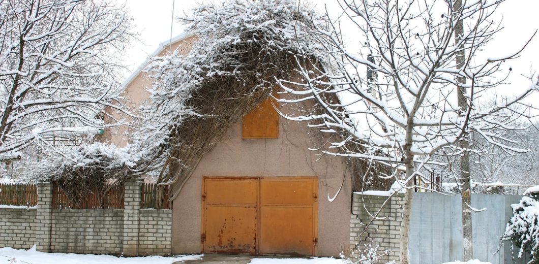 Snow covered trees around a garage with orange doors