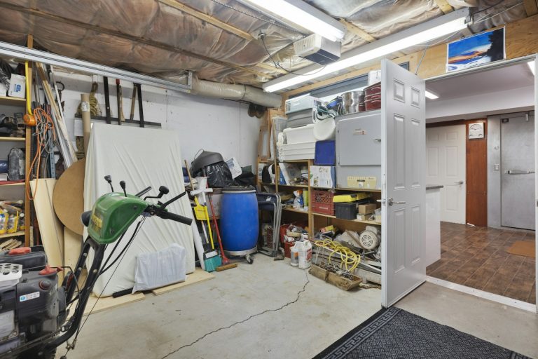Cluttered garage storage that gives pests cover and bedding