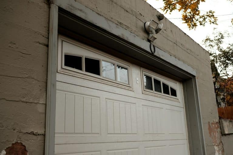 White garage door with window panels beside an autumn tree